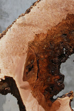 Load image into Gallery viewer, Heart Maple Burl Cookie
