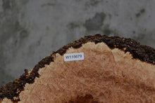 Load image into Gallery viewer, Heart Maple Burl Slab
