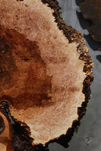 Load image into Gallery viewer, Heart Maple Burl Slab
