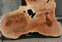Load image into Gallery viewer, Heart Maple Burl Cookie
