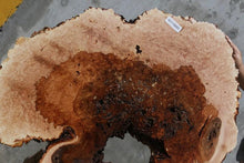 Load image into Gallery viewer, Heart Maple Burl Cookie
