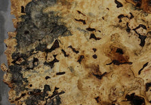 Load image into Gallery viewer, Buckeye Burl Round Slab
