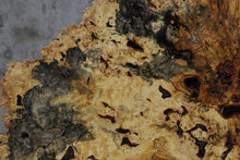 Load image into Gallery viewer, Buckeye Burl Round Slab
