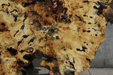 Load image into Gallery viewer, Buckeye Burl Round Slab
