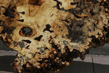 Load image into Gallery viewer, Buckeye Burl Round Slab
