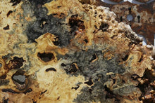 Load image into Gallery viewer, Buckeye Burl Round Slab
