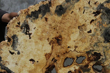 Load image into Gallery viewer, Buckeye Burl Round Slab
