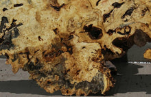 Load image into Gallery viewer, Buckeye Burl Round Slab
