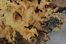 Load image into Gallery viewer, Buckeye Burl Round Slab
