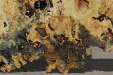 Load image into Gallery viewer, Buckeye Burl Round Slab
