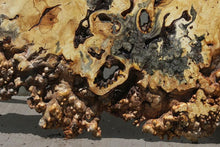 Load image into Gallery viewer, Buckeye Burl Round Slab

