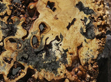 Load image into Gallery viewer, Buckeye Burl Round Slab

