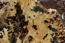 Load image into Gallery viewer, Buckeye Burl Round Slab
