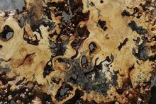 Load image into Gallery viewer, Buckeye Burl Round Slab

