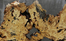 Load image into Gallery viewer, Buckeye Burl Round Slab
