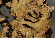 Load image into Gallery viewer, Buckeye Burl Round Slab
