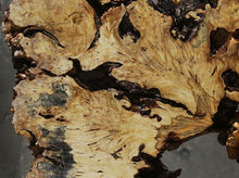 Load image into Gallery viewer, Buckeye Burl Round Slab
