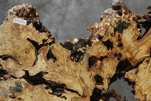 Load image into Gallery viewer, Buckeye Burl Round Slab
