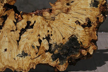 Load image into Gallery viewer, Buckeye Burl Round Slab

