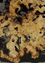 Load image into Gallery viewer, Buckeye Burl Round Slab
