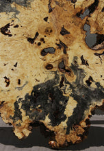 Load image into Gallery viewer, Buckeye Burl Round Slab
