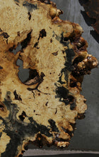 Load image into Gallery viewer, Buckeye Burl Round Slab
