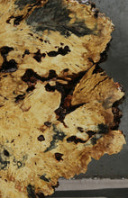 Load image into Gallery viewer, Buckeye Burl Round Slab
