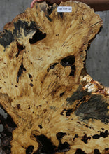 Load image into Gallery viewer, Buckeye Burl Round Slab
