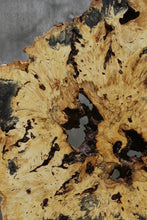Load image into Gallery viewer, Buckeye Burl Round Slab
