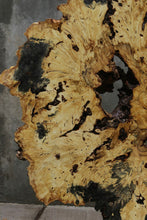 Load image into Gallery viewer, Buckeye Burl Round Slab
