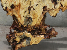 Load image into Gallery viewer, Buckeye Burl Slice
