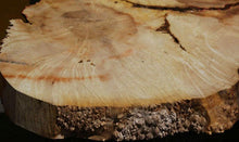 Load image into Gallery viewer, Box Elder Slice
