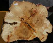 Load image into Gallery viewer, Box Elder Slice
