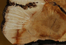 Load image into Gallery viewer, Box Elder Slice
