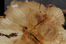 Load image into Gallery viewer, Box Elder Slice

