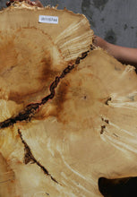 Load image into Gallery viewer, Box Elder Slice
