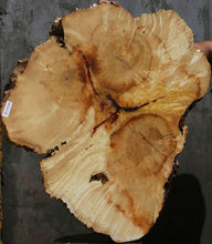 Load image into Gallery viewer, Box Elder Slice
