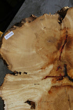 Load image into Gallery viewer, Box Elder Slice
