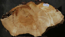 Load image into Gallery viewer, Box Elder Slice
