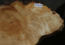Load image into Gallery viewer, Box Elder Slice
