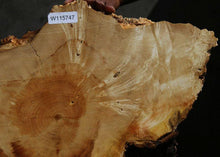 Load image into Gallery viewer, Box Elder Slice
