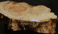 Load image into Gallery viewer, Box Elder Slice
