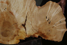 Load image into Gallery viewer, Box Elder Slice

