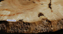Load image into Gallery viewer, Box Elder Slice
