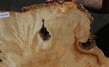 Load image into Gallery viewer, Box Elder Slice
