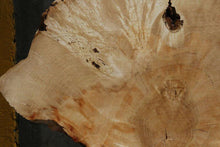 Load image into Gallery viewer, Box Elder Slice
