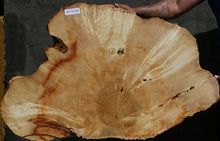 Load image into Gallery viewer, Box Elder Slice
