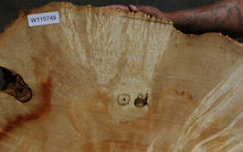 Load image into Gallery viewer, Box Elder Slice
