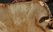 Load image into Gallery viewer, Box Elder Slice
