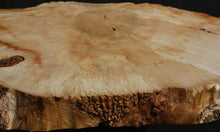 Load image into Gallery viewer, Box Elder Slice
